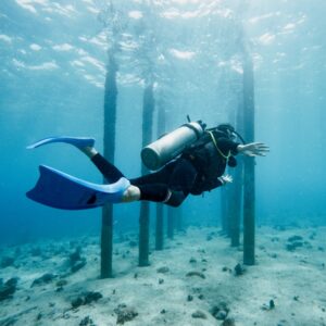 Teoría Online CURSO BUCEO