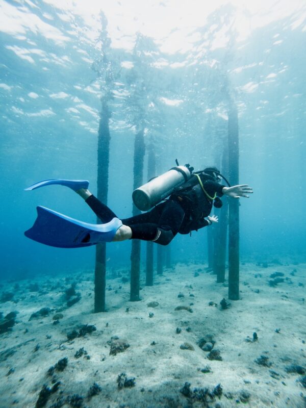 Teoría Online CURSO BUCEO