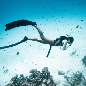 Teoría Online CURSO APNEA