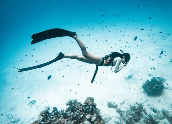 Teoría Online CURSO APNEA