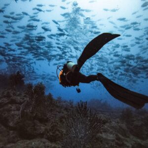 Viajes de buceo