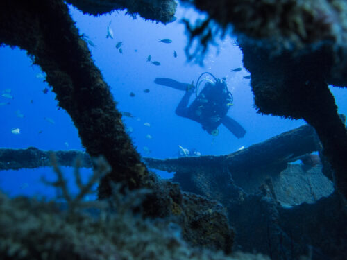 (SOLD OUT) - Viaje de buceo a Gorgona -  20 al 24 de Septiembre 2025 - Imagen 14
