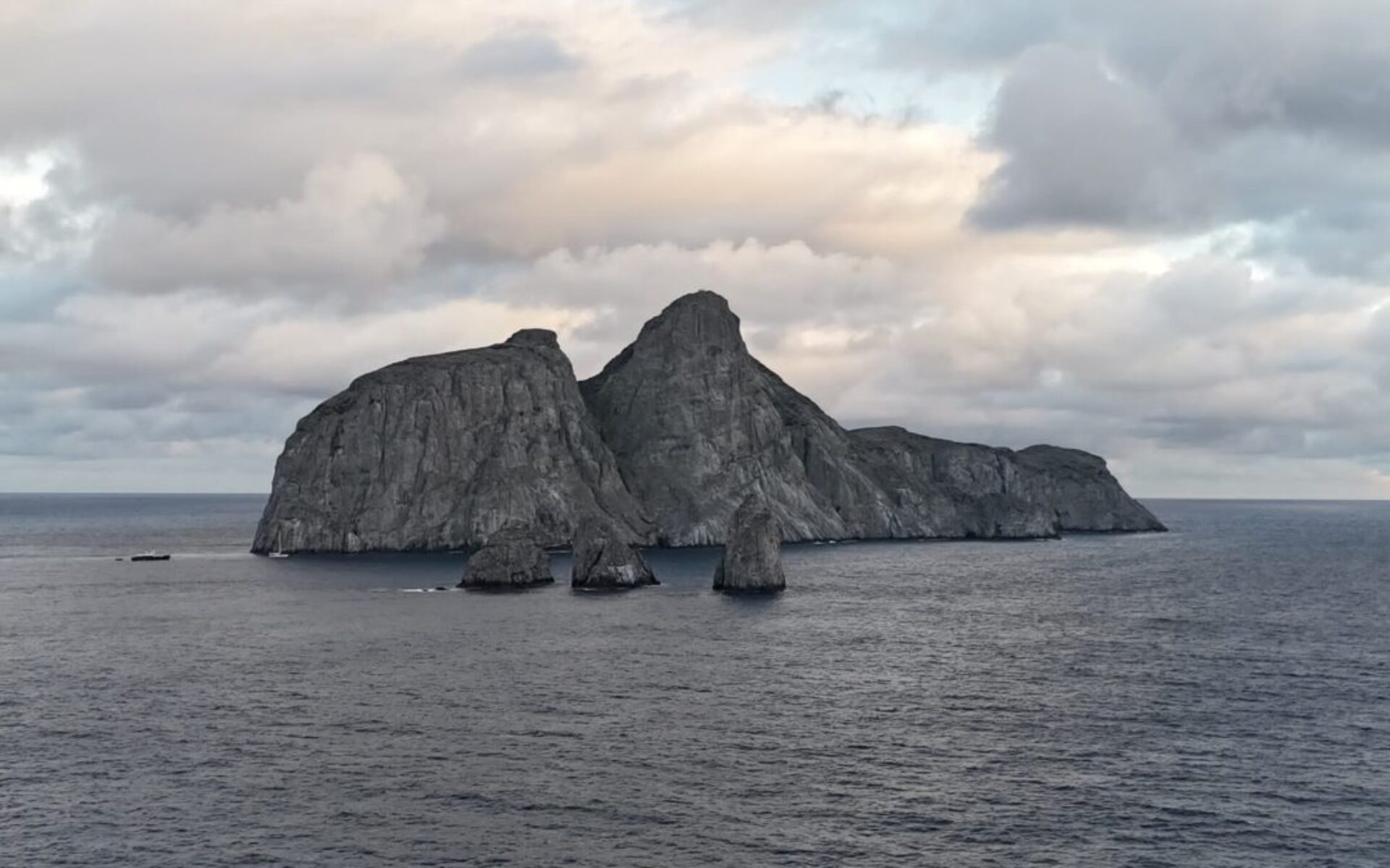 WhatsApp Image 2026-01-22 at 05.09.03